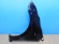 notify_thumb