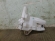 notify_thumb