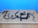 notify_thumb